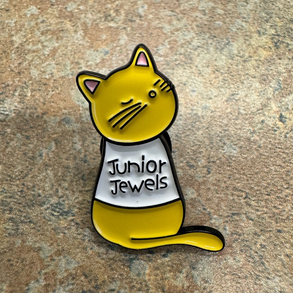 😻Complete Set of 10 Cat Enamel Pins Styled As Taylor Swift Albums - Picture 5 of 11
